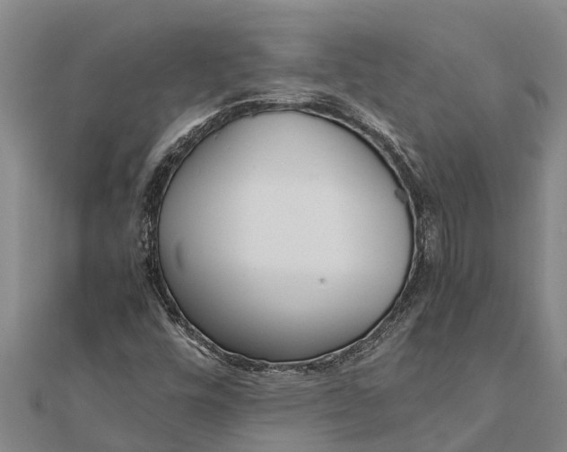 X0000111531448200908041255