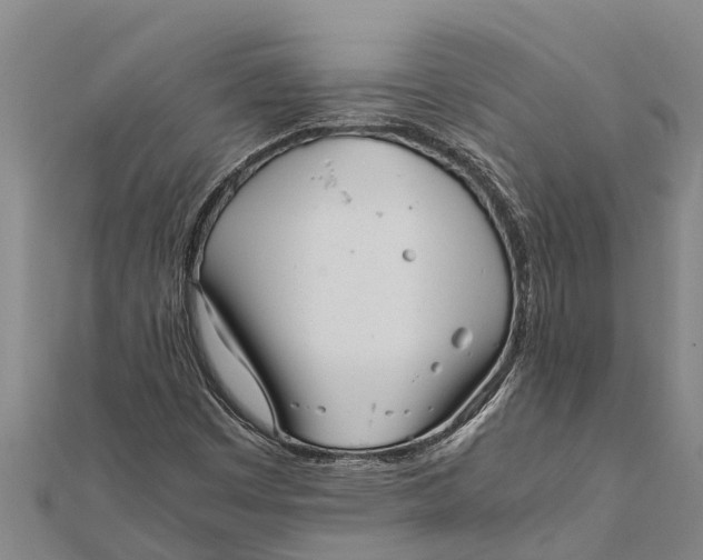 X0000111531449200908041255