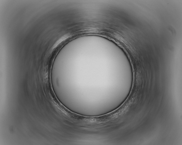 X0000111531450200908041255