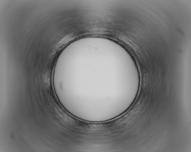 X0000111531451200908041254