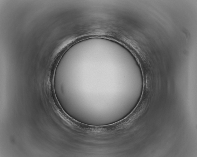 X0000111531452200908041254