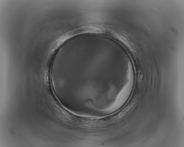 X0000111531455200908041254