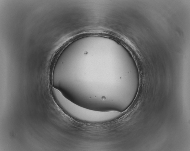 X0000111531456200908041254