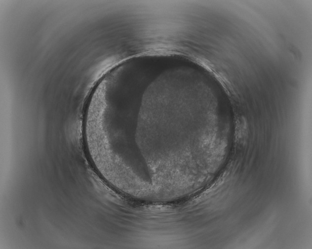 X0000111531459200908041254