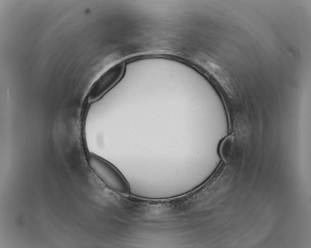 X0000111531460200908041254