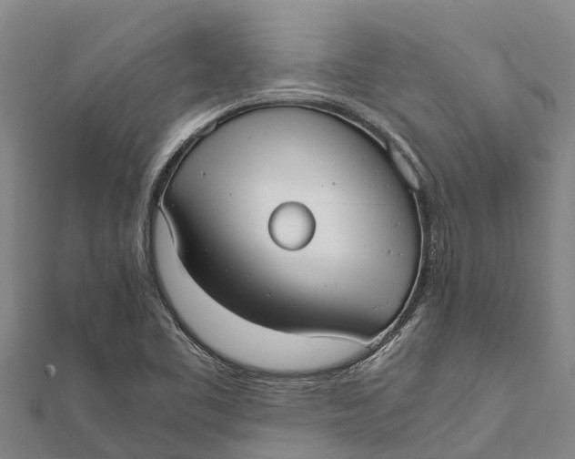 X0000111531461200908041254