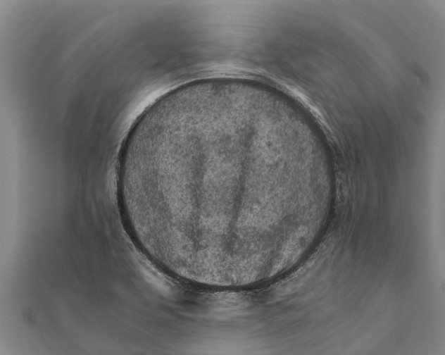 X0000111531463200908041254