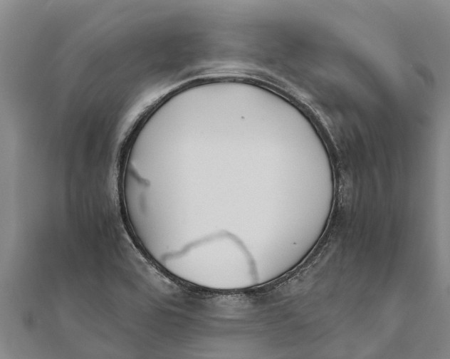 X0000111531464200908041254