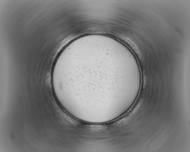 X0000111531465200908041254