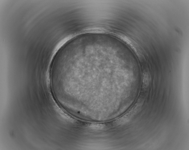 X0000111531466200908041254