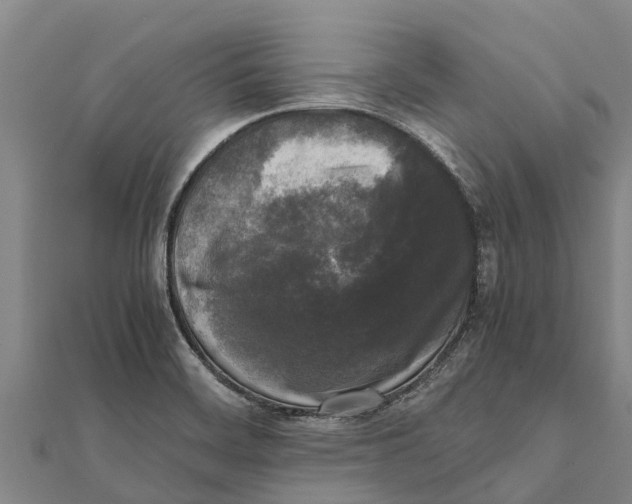 X0000111531468200908041254