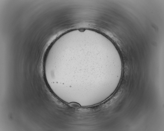 X0000111531469200908041254