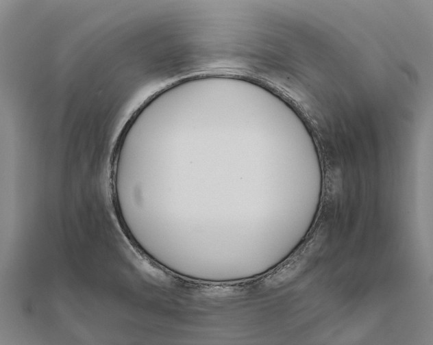 X0000111531470200908041254