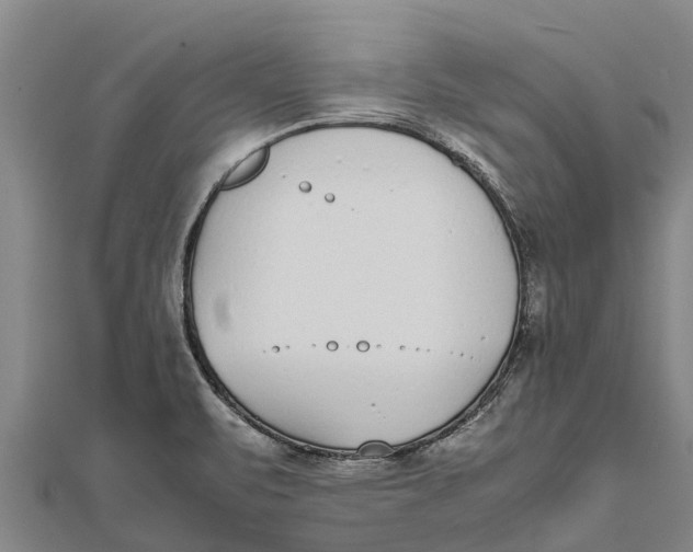 X0000111531471200908041254