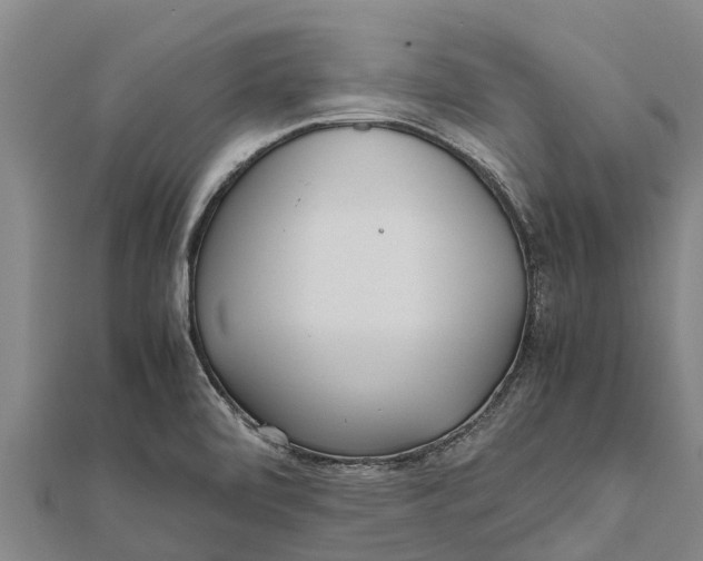 X0000111531472200908041254