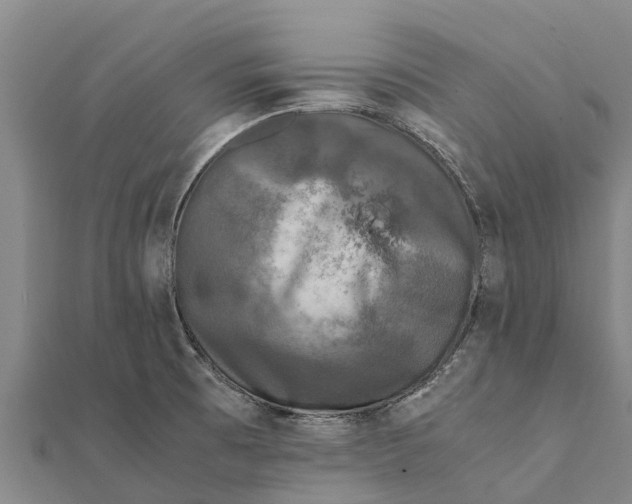 X0000111531473200908041254