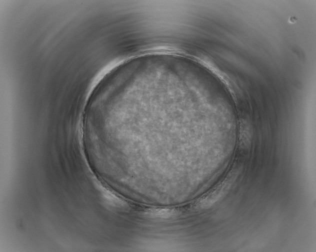 X0000111531474200908041254