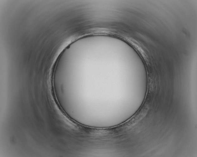 X0000111531475200908041254