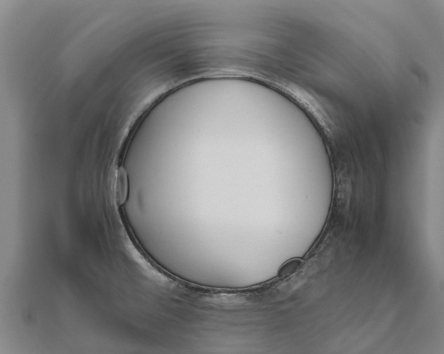 X0000111531476200908041254