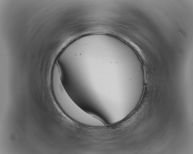 X0000111531477200908041254