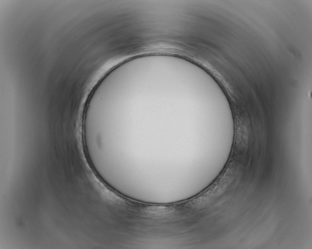 X0000111531478200908041254