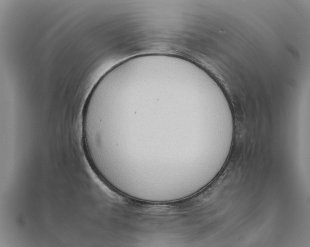 X0000111531479200908041254