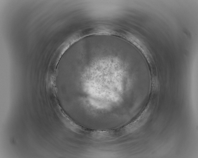 X0000111531481200908041254