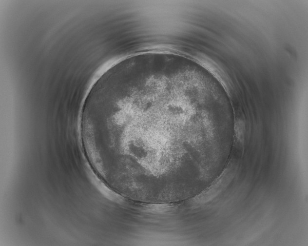 X0000111531482200908041254