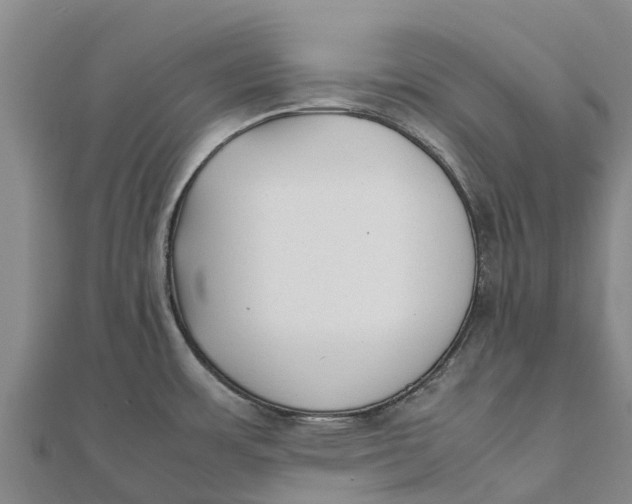 X0000111531483200908041254