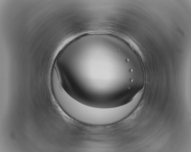 X0000111531485200908041254