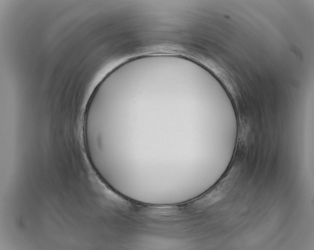 X0000111531486200908041254