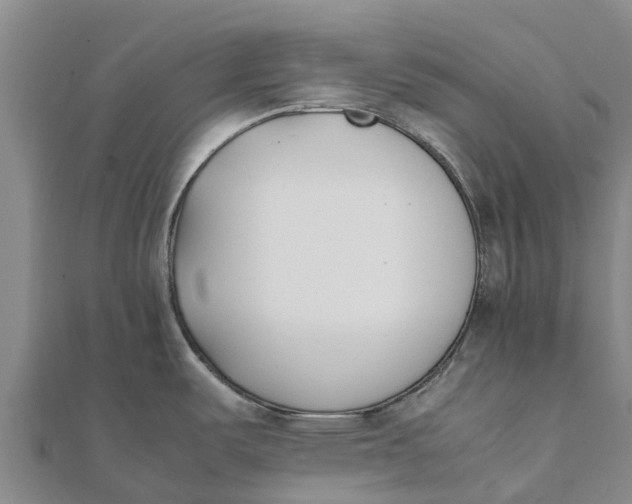 X0000111531487200908041254