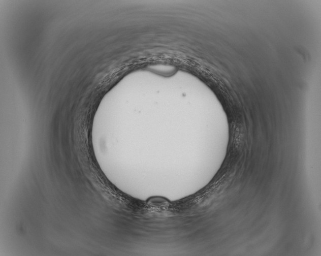 X0000111531489200908041253