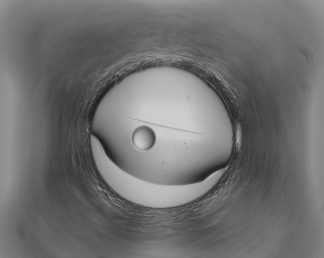 X0000111531492200908041253