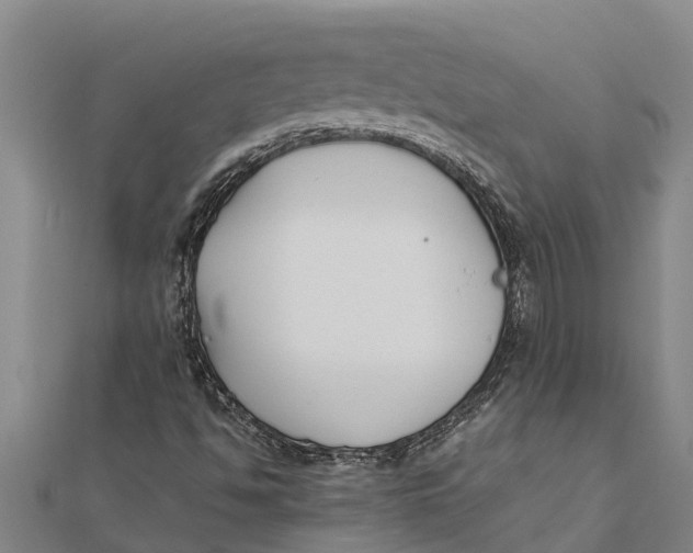 X0000111531494200908041253