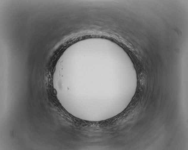 X0000111531495200908041253