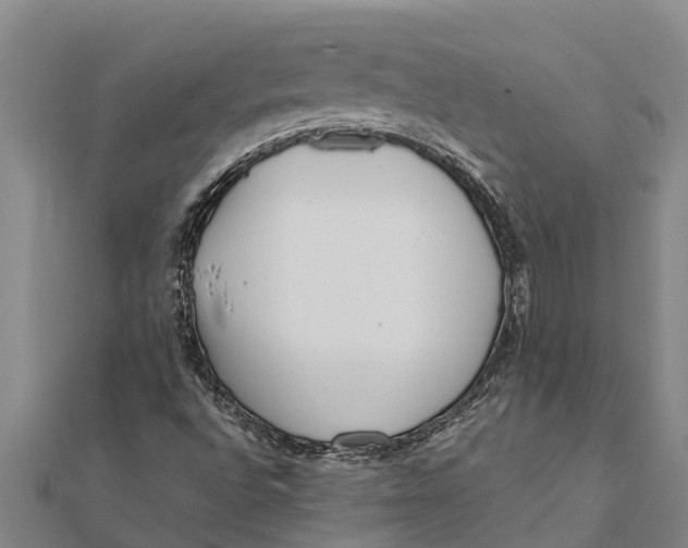 X0000111531496200908041254