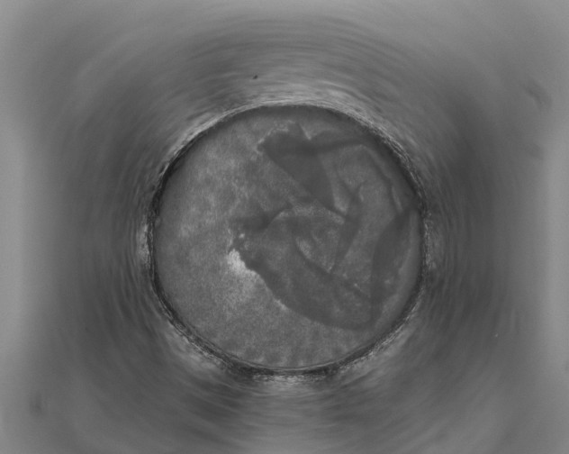 X0000111531497200908041254