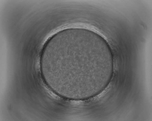 X0000111531498200908041254