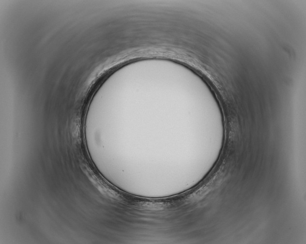 X0000111531499200908041254