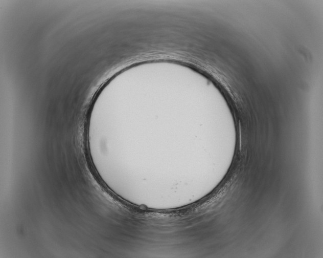 X0000111531500200908041254