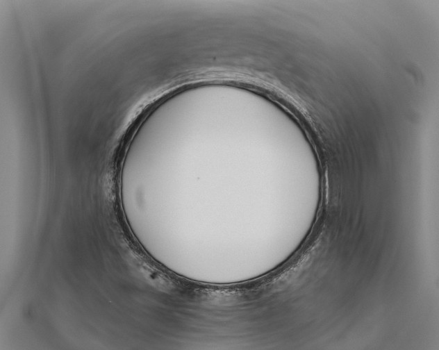 X0000111531501200908041254