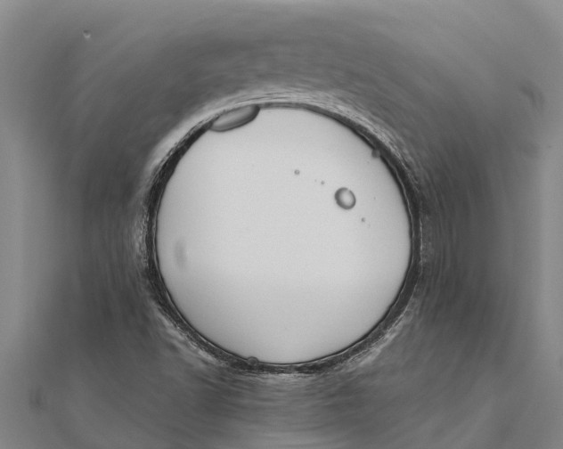 X0000111531502200908041254