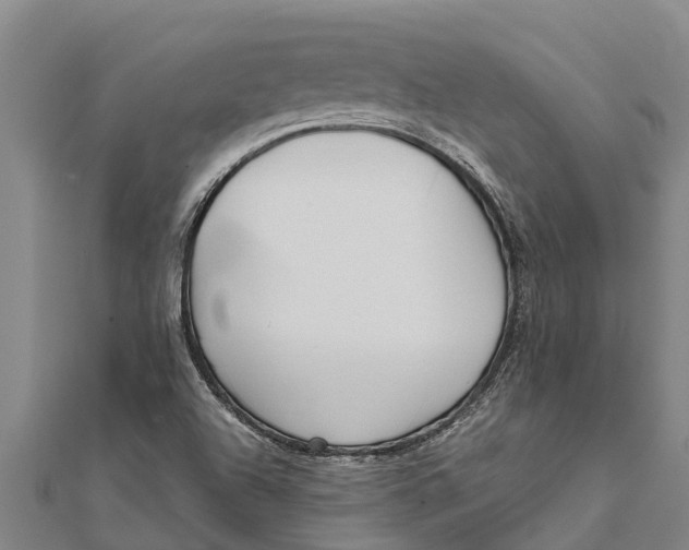 X0000111531504200908041254