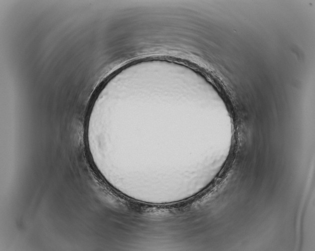 X0000111531505200908041254