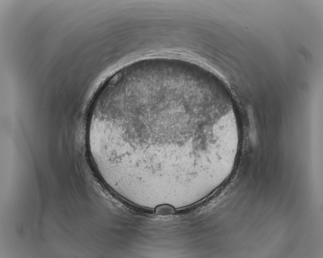 X0000111531506200908041254