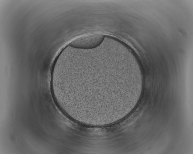 X0000111531508200908041254