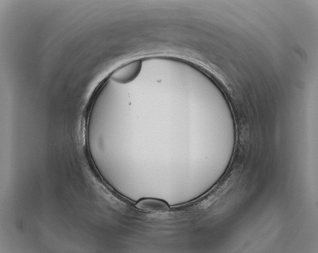 X0000111531510200908041254