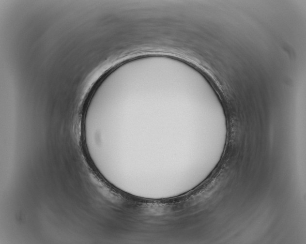 X0000111531511200908041254