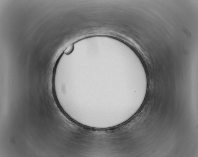 X0000111531512200908041254